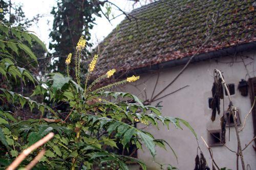 charity 2veneux 23 déc 2010 010.jpg