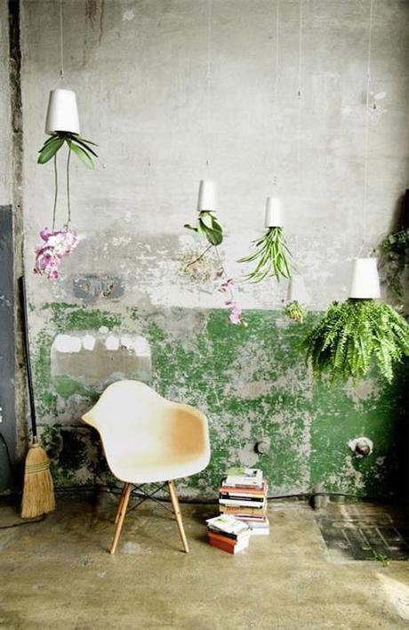 Boskke Sky, vos plantes à l'envers ! Boskke Sky, vos plantes à l'envers !