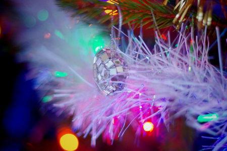 *Merry Christmas Everybody* IMGP3308