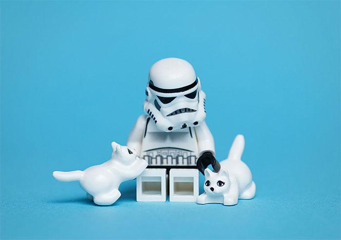 20 photographies hilarantes