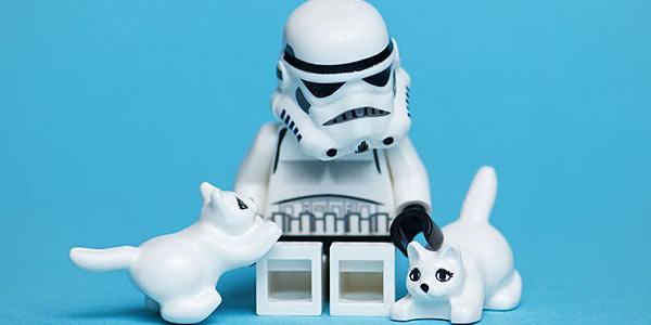 20 photographies hilarantes