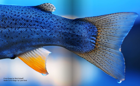 SLEEPING IN THE DIRT 5, for Rich.