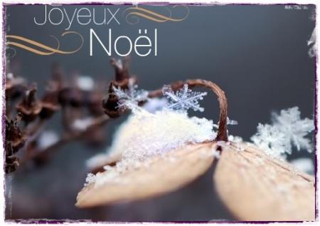 Le 24 décembre 2010 est arrivé...