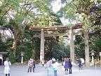 Yokoso Japan 7 : Yoyogi, Meiji Jingu