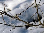 Promenade glaciale dans vexin