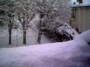neige-mtcy-19-dec-2010-19.1293342378.JPG