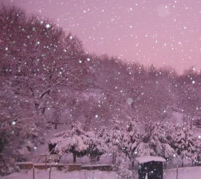 Joyeux noël quand même !