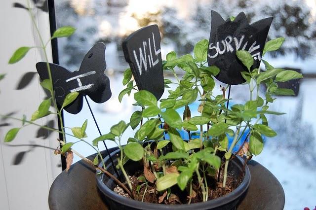 Joyeux noël quand même !