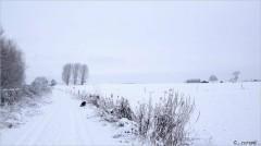 neige-depoorter.jpg