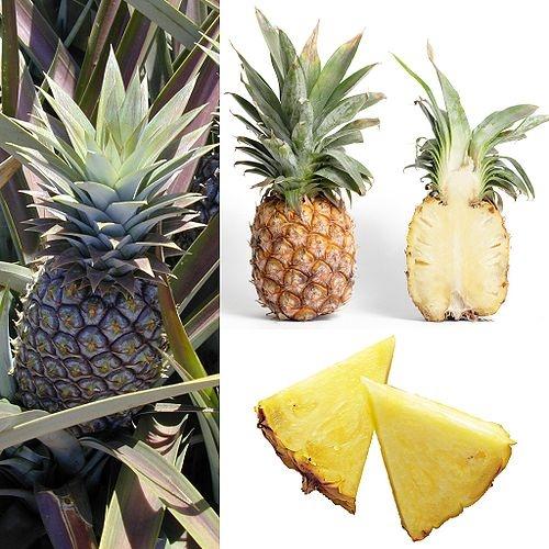 500px-Owoce_Ananas