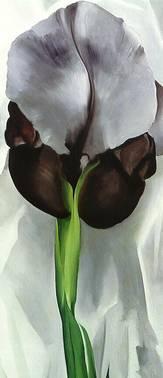 o-keeffe-iris-noir-pastel-1933.1292517596.jpg
