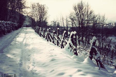 26_d_cembre_2010_047_copie