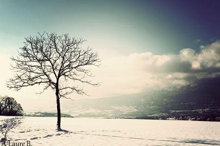 26_d_cembre_2010_140_copie_2