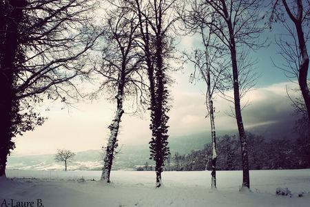 26_d_cembre_2010_007_copie_2