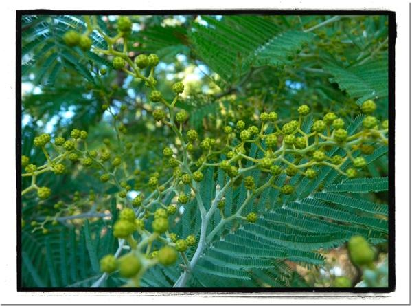 Dernière balade girondine de 2010