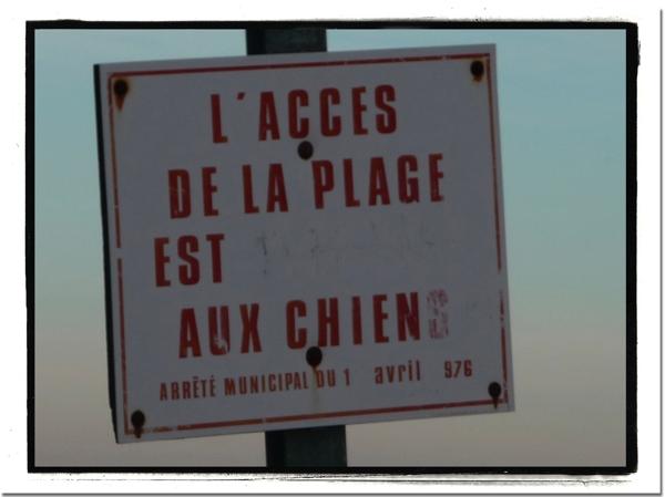 Dernière balade girondine de 2010