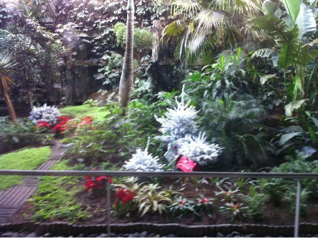 Mon beau Sapin