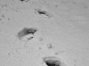 Heckle Jeckle dans neige