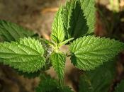 L’alliance (Christian Viguié)