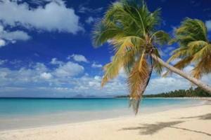 Vacances Martinique