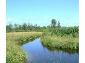 sentier quatre Charrauds (Vendée)