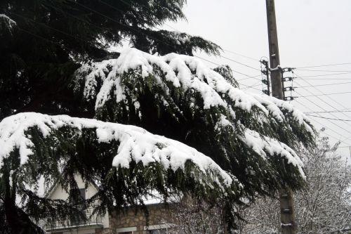 neige 20 déc 2010 062.jpg