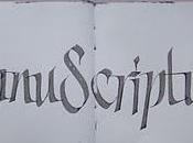 Postal MAAV 2011, essais