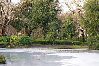 After Christmas on Ice