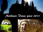 Punch îles express vous souhaite Bonne Heureuse Année 2011