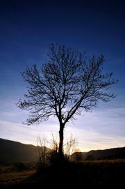 Fin de journée à Plancemont