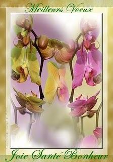 MEILLEURS VOEUX 2011