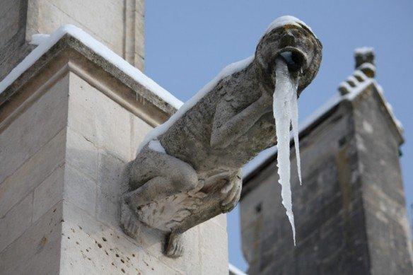 Gargouille vilain - Cathédrale de Toul