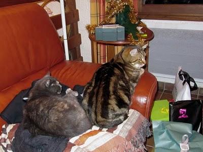 Loucy, cé Nouël ! (*)