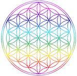 Le Grand Mystère du Secret