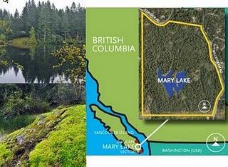 10$ pour protéger 1 mètre carré de terrain et préserver le majestueux Mary Lake, splendeur de la nature.