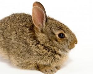 Un peu de joie de vivre