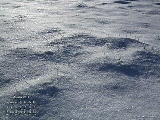 Fonds d'écran - Janvier 2011