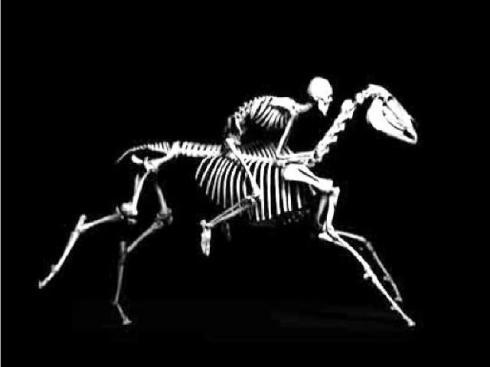 L'HOMME un animal mal pensant. Pamphlet.