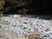 Juste pour clore l'année 2010 poésie