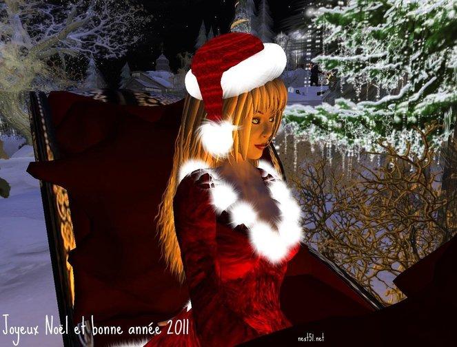 Une bonne année 2011 sur next51.net & next-iPhone forum...