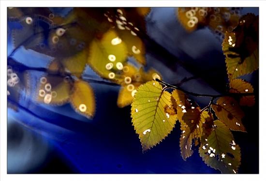 Philippe Ibars Dans les Jardins de la Fontaine IBA_7974.jpg