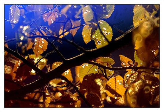 Philippe Ibars Dans les Jardins de la Fontaine IBA_7983.jpg