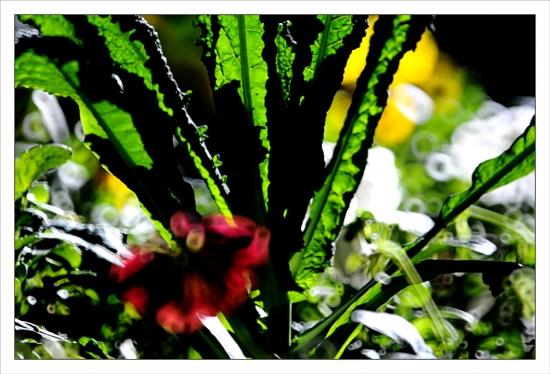 Philippe Ibars Dans les Jardins de la Fontaine  IBA_8818.jpg