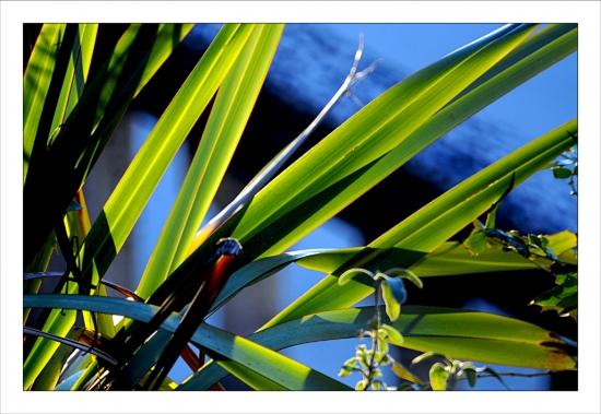 Philippe Ibars Dans les Jardins dela Fontaine IBA_8000.jpg