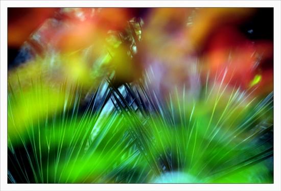 Philippe Ibars Dans les Jardins de la Fontaine  IBA_8804.jpg