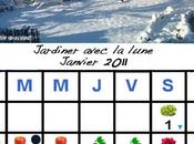 Jardiner avec lune Janvier 2011