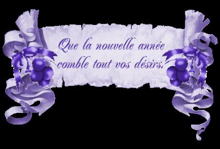 voeux41.gif