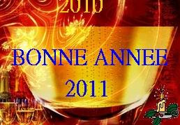 Meilleurs voeux 2011