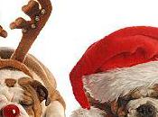 souhaiter bonne année