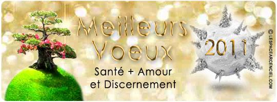 Excellente Année 2011